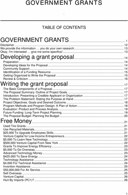 Product picture Government Grants Guide